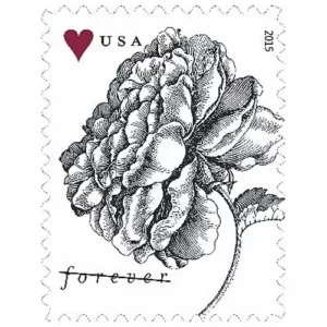 2015 Engraved Vintage Rose Forever First Class Stamps