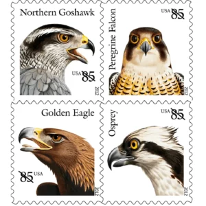 BIRDS OF PREY 2012  Postage Stamps
