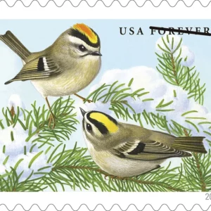 Songbirds in Snow Forever Stamps
