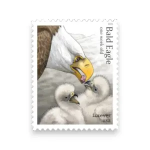 Forever Stamps 2026 Bald Eagle: Hatchling to Adult-Nature Series, First-Class Postage